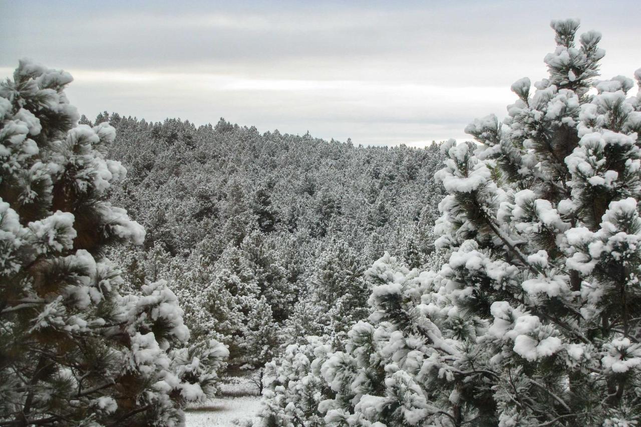 The Apartment Retreat Near Mount Rushmore Hermosa Esterno foto